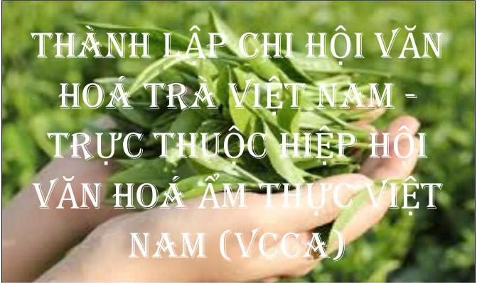 Chi Hội Văn Hóa Trà Việt Nam: “Hành Trình Gìn Giữ, bảo tồn, lan toả và phát huy Tinh Hoa văn hoá Trà Việt Nam”