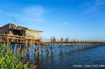 Quảng diễn Cá Ngừ Đại Dương từ Ngư Trường Phú Yên tại TPHCM