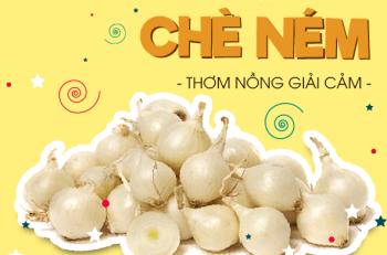 CHÈ NÉM (NÉN)