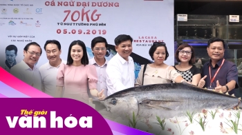 Quảng diễn Cá Ngừ Đại Dương từ Ngư Trường Phú Yên tại TPHCM