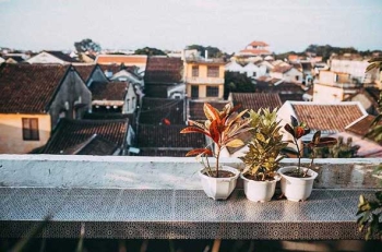 Cà phê hoài cổ tuyệt đẹp trong lòng Hội An