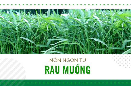HAI MÓN ĂN RAU MUỐNG LÀM TRONG MÙA DỊCH: RAU MUỐNG XÀO TỎI & CANH RAU MUỐNG-CÀ DẦM TƯƠNG